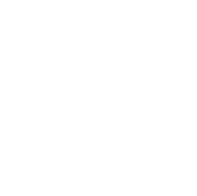 Rakoon
